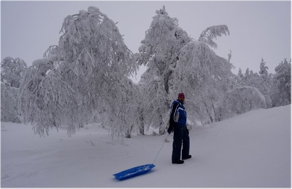 [Su per il bosco con lo slittino]