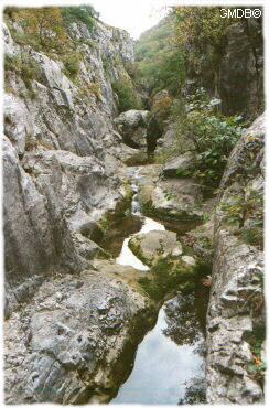 [La parte più stretta del canyon del torrente Rosandra]